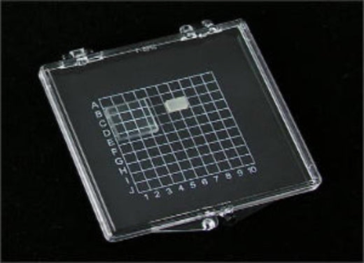 Photo of a pack of 2 × 2 inch Gel-Pak Gel-Boxes